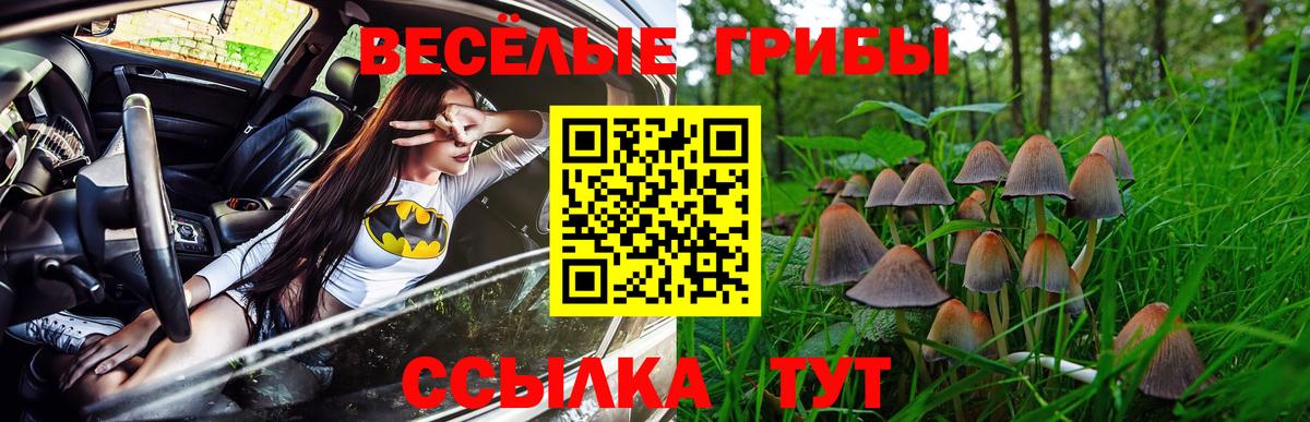 Алейск  Псилоцибиновые грибы Psilocybine cubensis  Галлюциногенные грибы Magic Shrooms  Вход с VPN 
